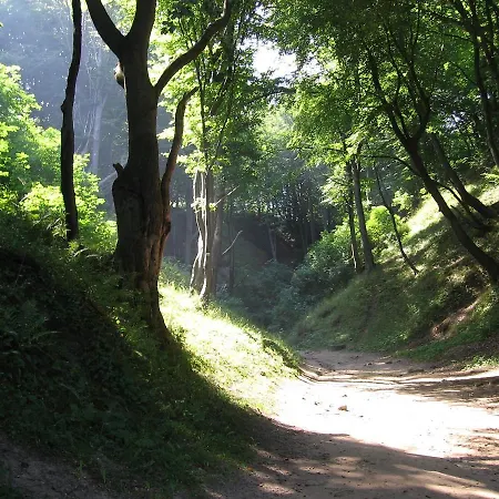 Morska Przystan Pilece - Jacuzzi * Jastrzębia Góra